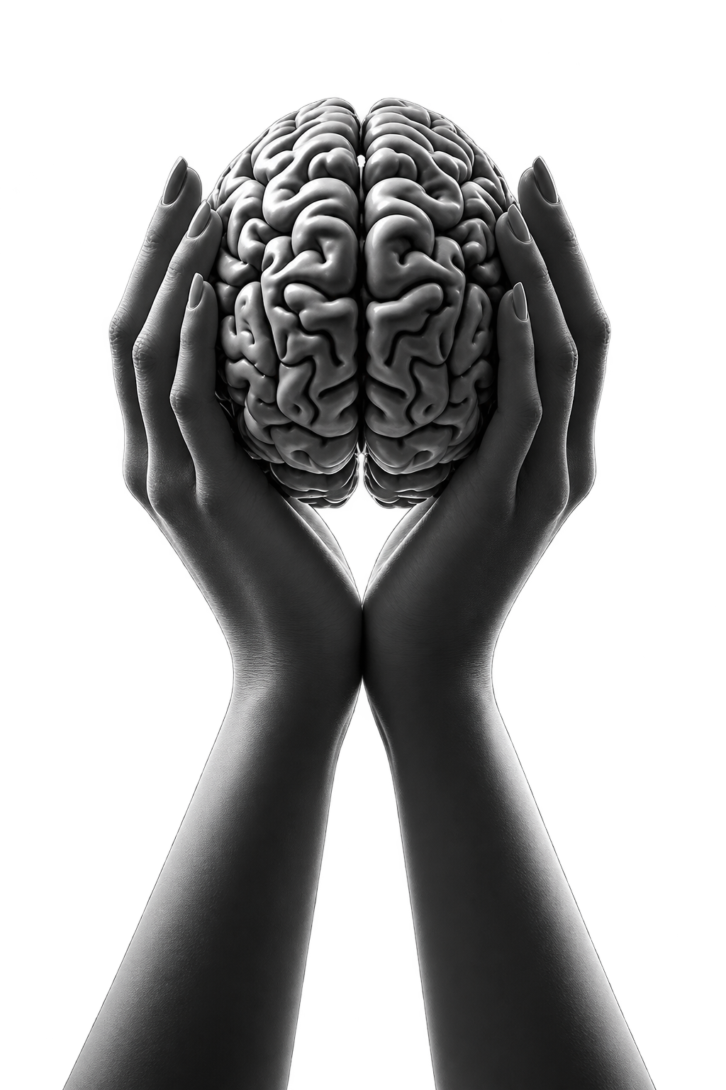 Hands holding a brain